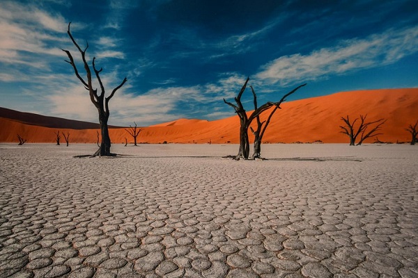 Фотовыставка National Geographic Россия «Планета контрастов»
