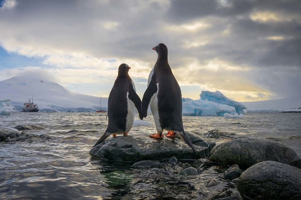 Фотовыставка National Geographic Россия «Планета контрастов»