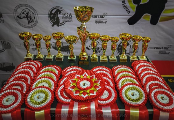 Международный конкурс грумеров «Кубок IGA»