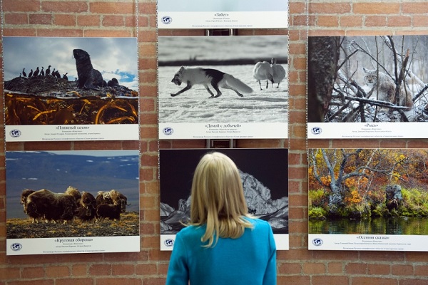 Фотовыставка «Самая красивая страна»