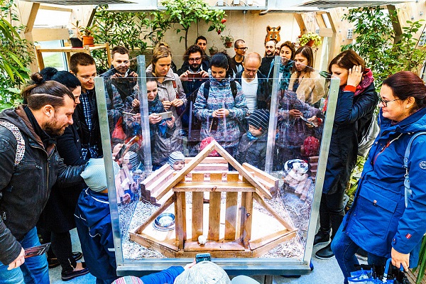 Иммерсивные спектакли от «Трогательного театра»
