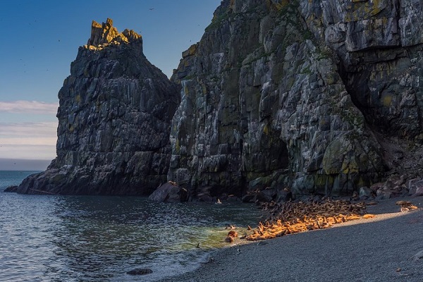 Фотовыставка «Открывая естество природы»