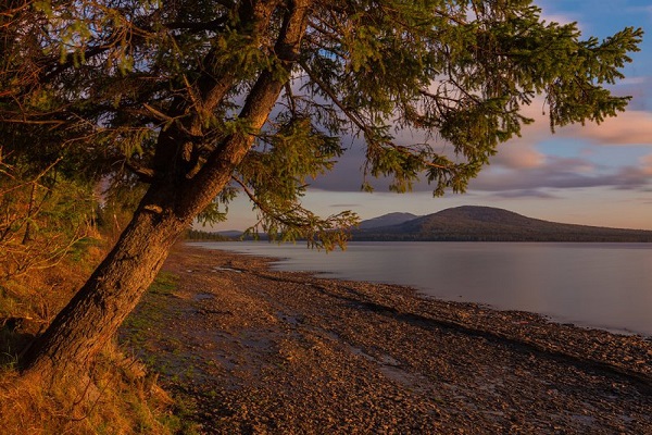 Фотовыставка «Открывая естество природы»