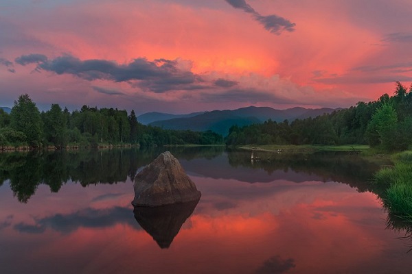 Фотовыставка «Открывая естество природы»