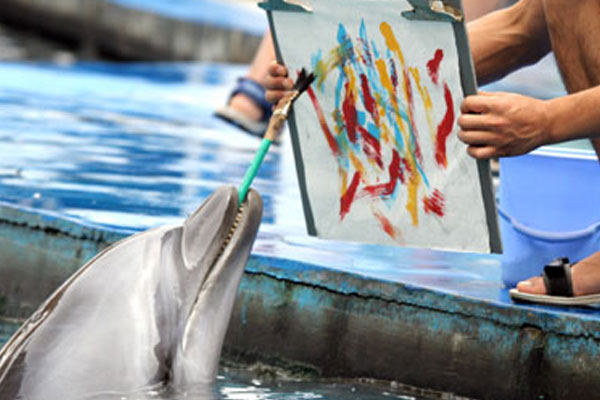 Выставка «Animal Art»