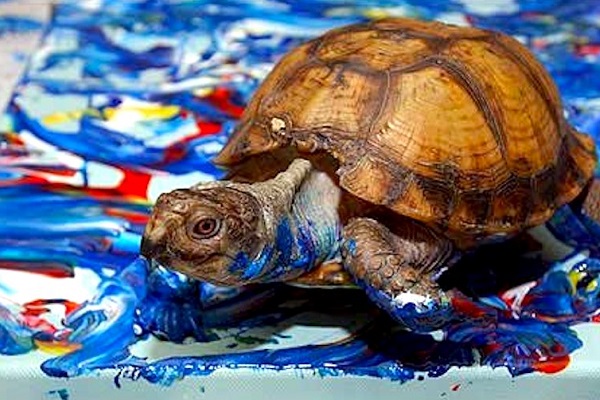 Выставка «Animal Art»