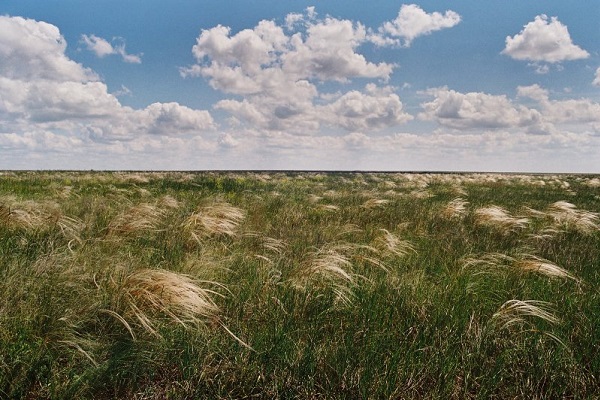 Выставка «Дорогами странствий»