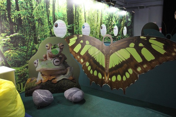 Выставка «Гении маскировки. Мимикрия: исчезнуть, чтобы выжить»