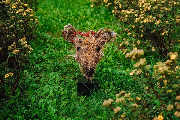 Выставка органических скульптур «Последний след»