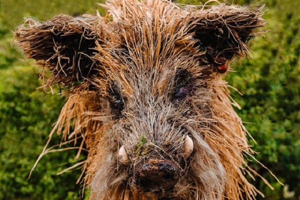 Выставка органических скульптур «Последний след»