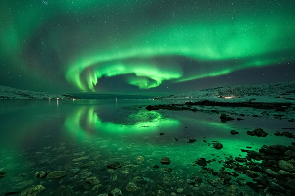 Выставка «Русская Арктика»