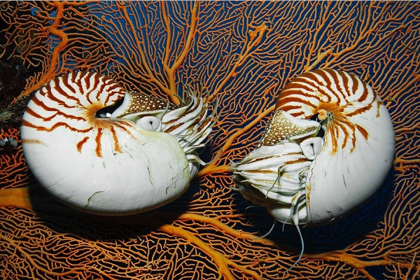 Фотовыставка «Уровень моря»