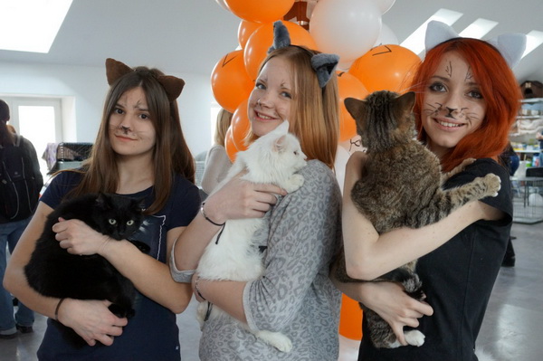 Ежегодная выставка «Доброкот» в котокафе CatStory