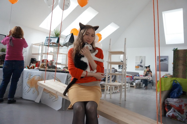 Ежегодная выставка «Доброкот» в котокафе CatStory