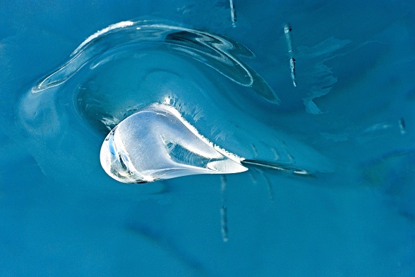 Выставка «AquaPaint» во ВМДПНИ