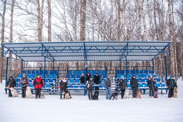 Кинологический стадион в парке «Сокольники»