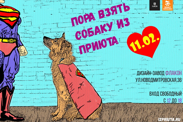 Благотворительная выставка-пристройство бездомных животных из приюта Бирюлёво