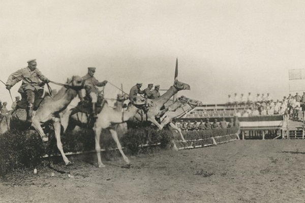 Фотовыставка «Война и мир. На заре фотожурналистики. 1910-е годы»
