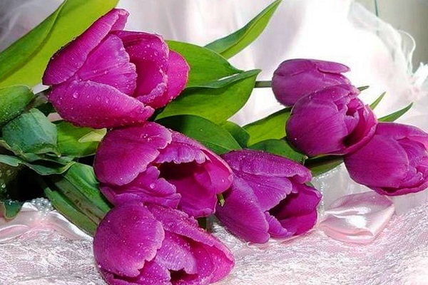 Международный женский день в Музее М.А. Булгакова