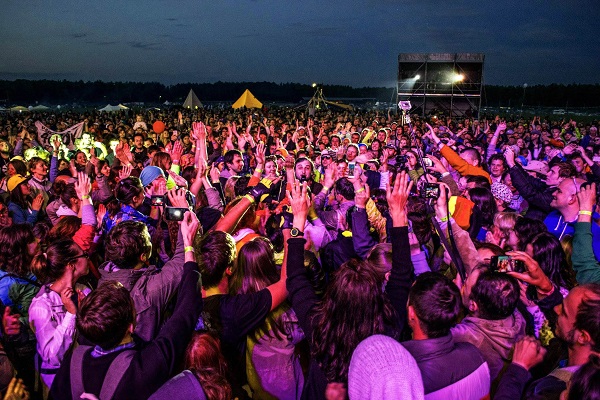 Музыкальный фестиваль «Дикая Мята – 2018»