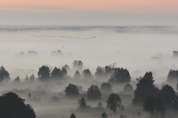 Фотовыставка «Сто заповедных лет»
