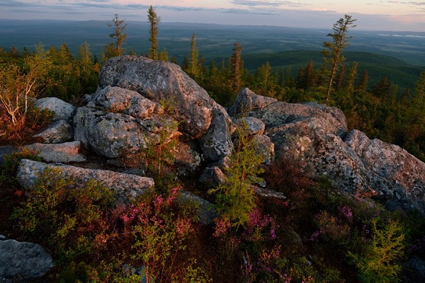 Фотовыставка «Сто заповедных лет»
