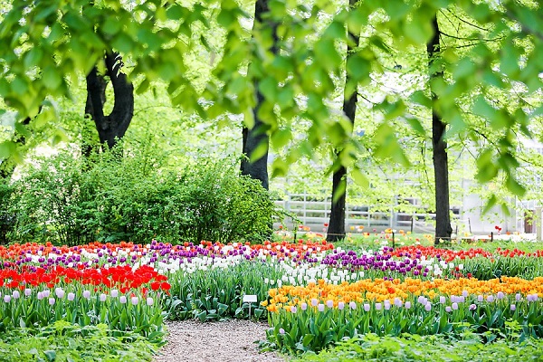 Праздничный концерт «Признание в любви»
