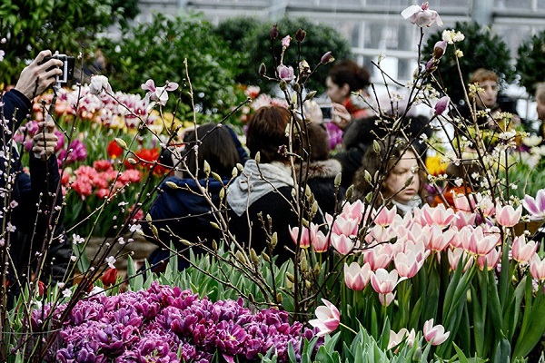Праздничный концерт «Признание в любви»