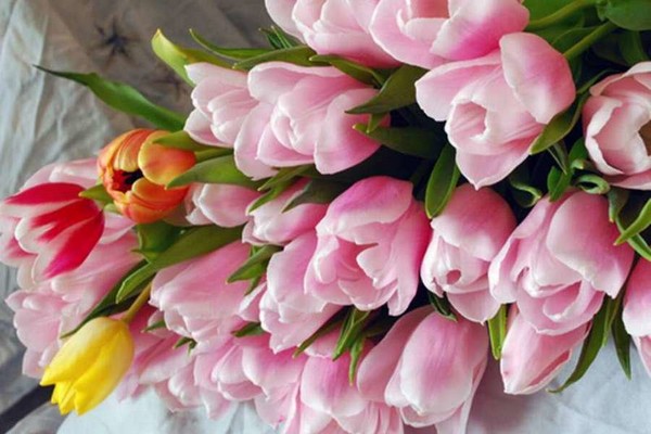 Праздник «Песни на подлодке» в Северном Тушино