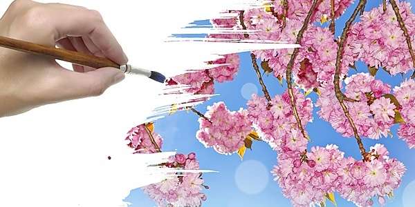 Сенсационный метод правополушарного интуитивного рисования в «Школе креатива»