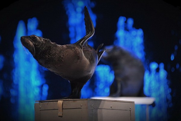 Цирковое представление «Тайна Музея Снов» в Цирке Танцующих Фонтанов «Аквамарин»