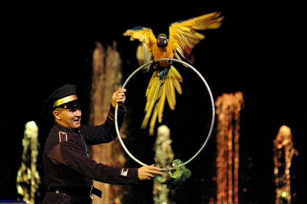 Цирковое представление «Тайна Музея Снов» в Цирке Танцующих Фонтанов «Аквамарин»