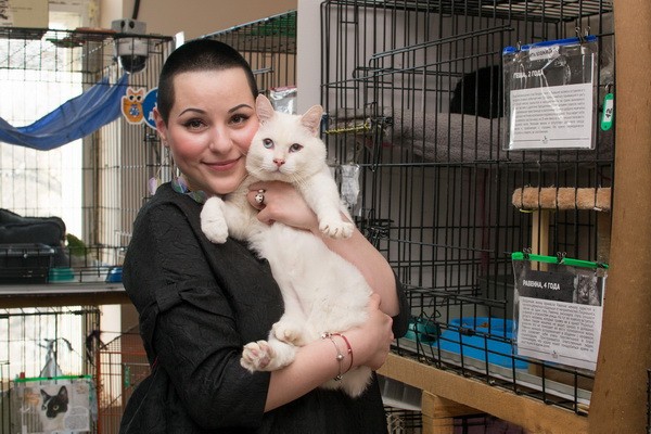 Выставка кошек в добрые руки «Неслучайная встреча»