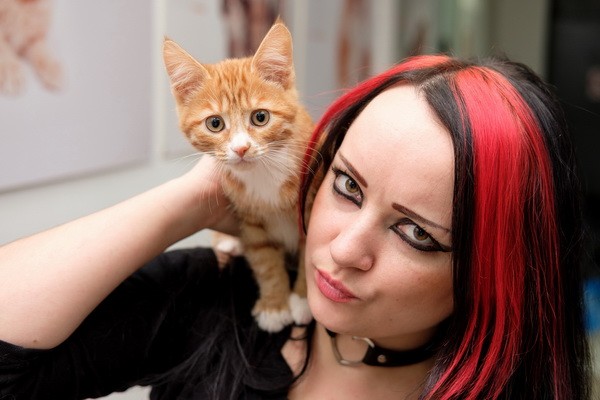 Выставка кошек в добрые руки «Неслучайная встреча»