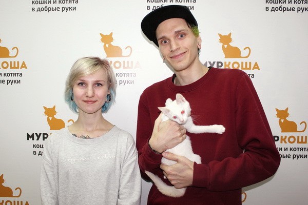 Выставка кошек в добрые руки «Неслучайная встреча»