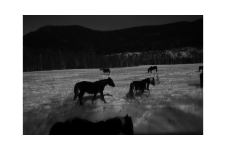 Выставка «Ледяной поход» в Галерее Классической Фотографии