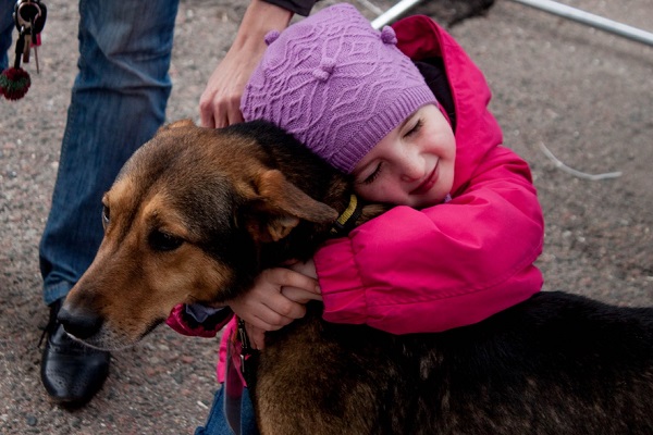 Выставка бездомных собак «Надо брать! Весной!»