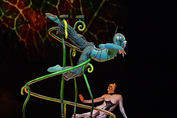 Цирковое шоу «Cirque Du Soleil: OVO»