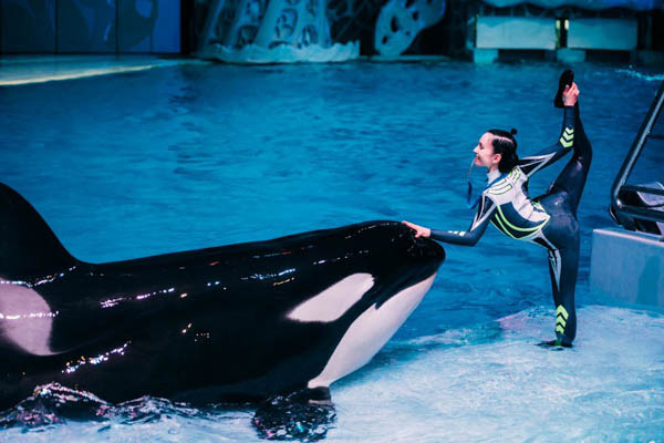 Премьера в Москвариуме на ВДНХ – 1 июня!