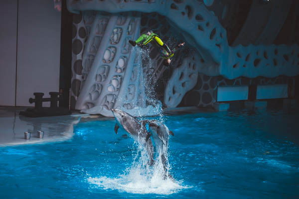 Премьера в Москвариуме на ВДНХ – 1 июня!