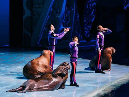 Премьера в Москвариуме на ВДНХ – 1 июня!