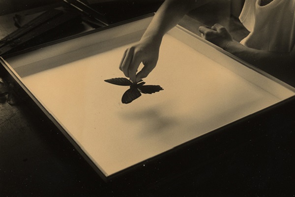 Фотовыставка «Футляр пустоты»