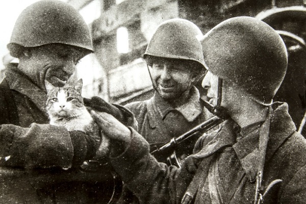 Выставка «Город гнева: Сталинградская битва в литературе»