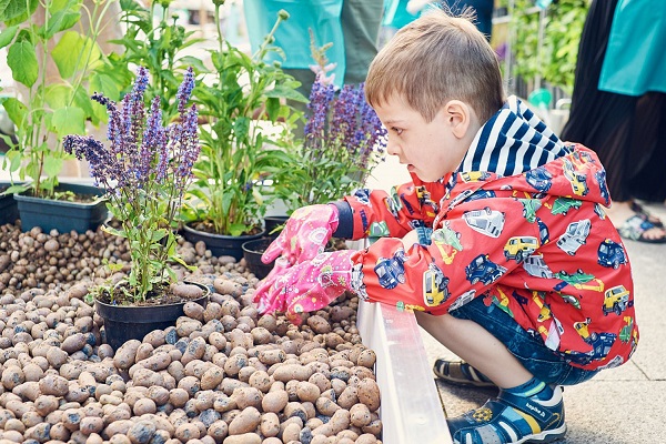 Школа ландшафтного дизайна «Сады и дети»