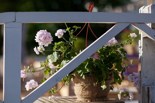 Школа ландшафтного дизайна «Сады и дети»