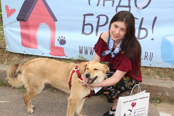 Благотворительная выставка бездомных животных «Осенний хвостофест»