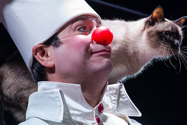 Большое шоу кошек Дмитрия Куклачева «Я – Клоун!»