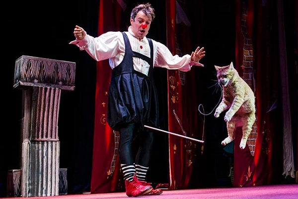 Большое шоу кошек Дмитрия Куклачева «Я – Клоун!»