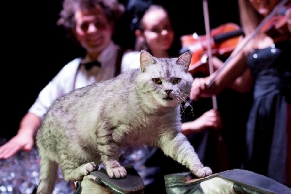 Большое шоу кошек Дмитрия Куклачева «Я – Клоун!»