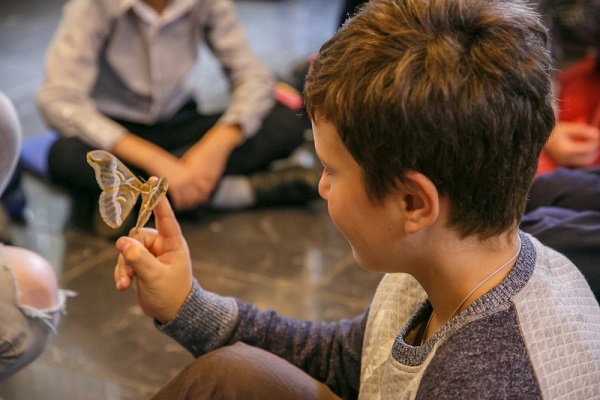 Всемирный День защиты животных в ГДМ